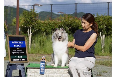 櫻下幸代ブリーダーの詳細の1枚目