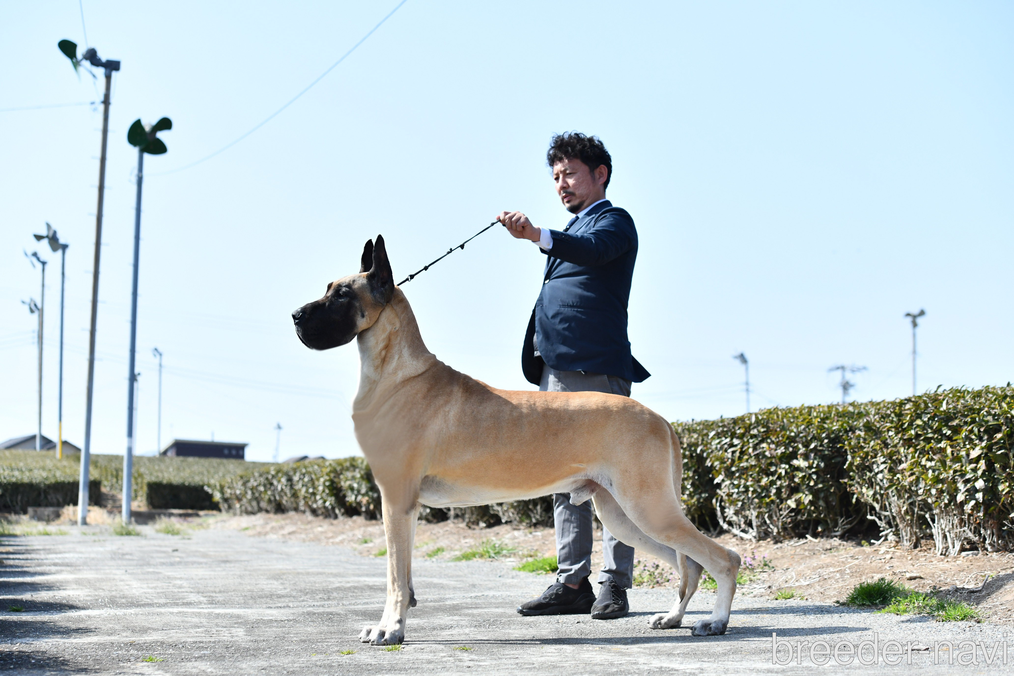 舛田ブリーダー