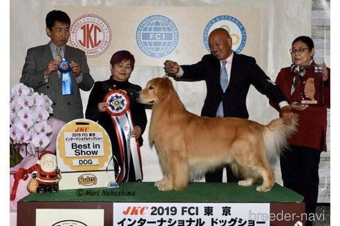 中嶋威勇治ブリーダーの詳細