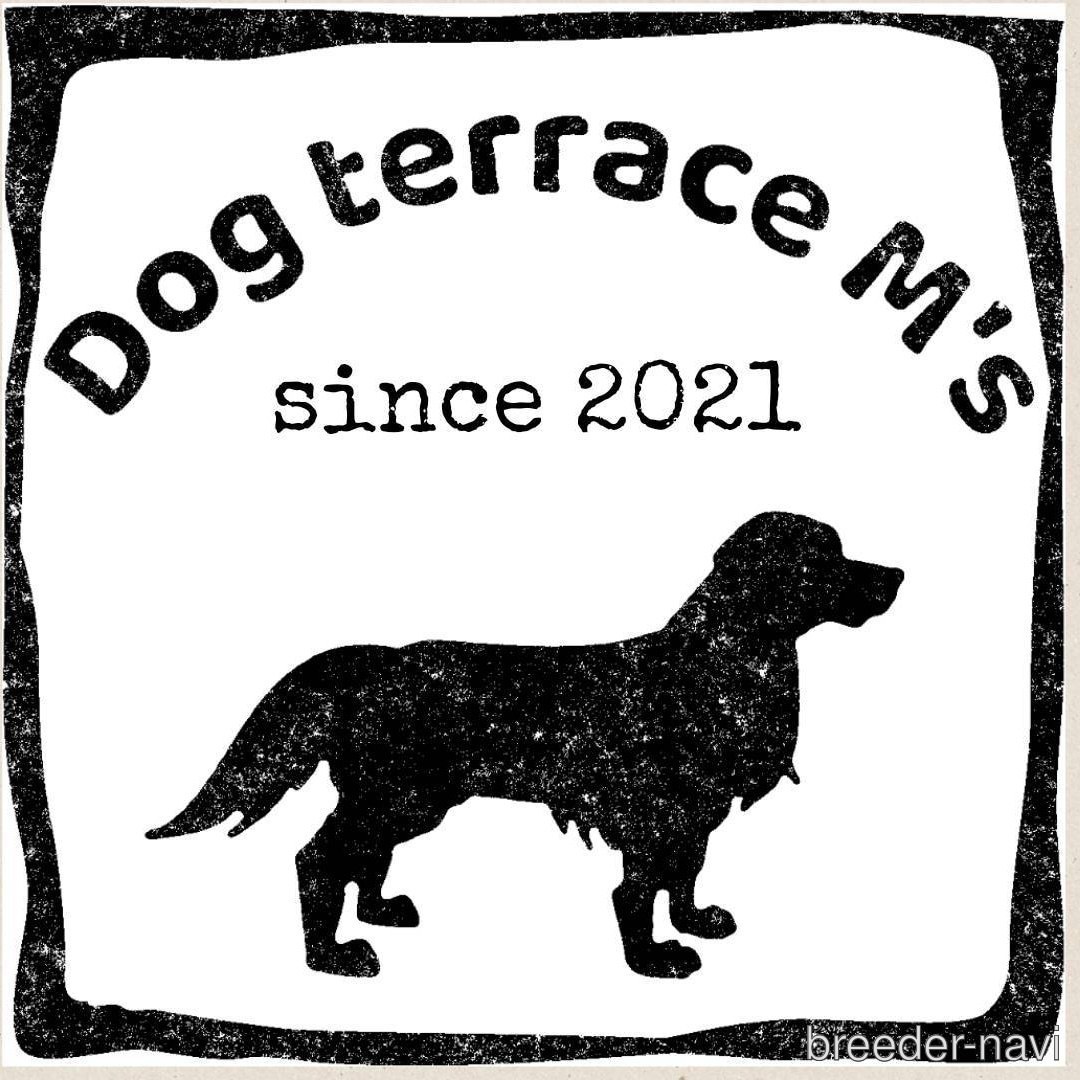 宮崎ブリーダー