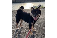 王福先ブリーダー