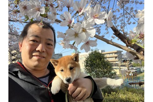 木下充朗ブリーダーの詳細の1枚目