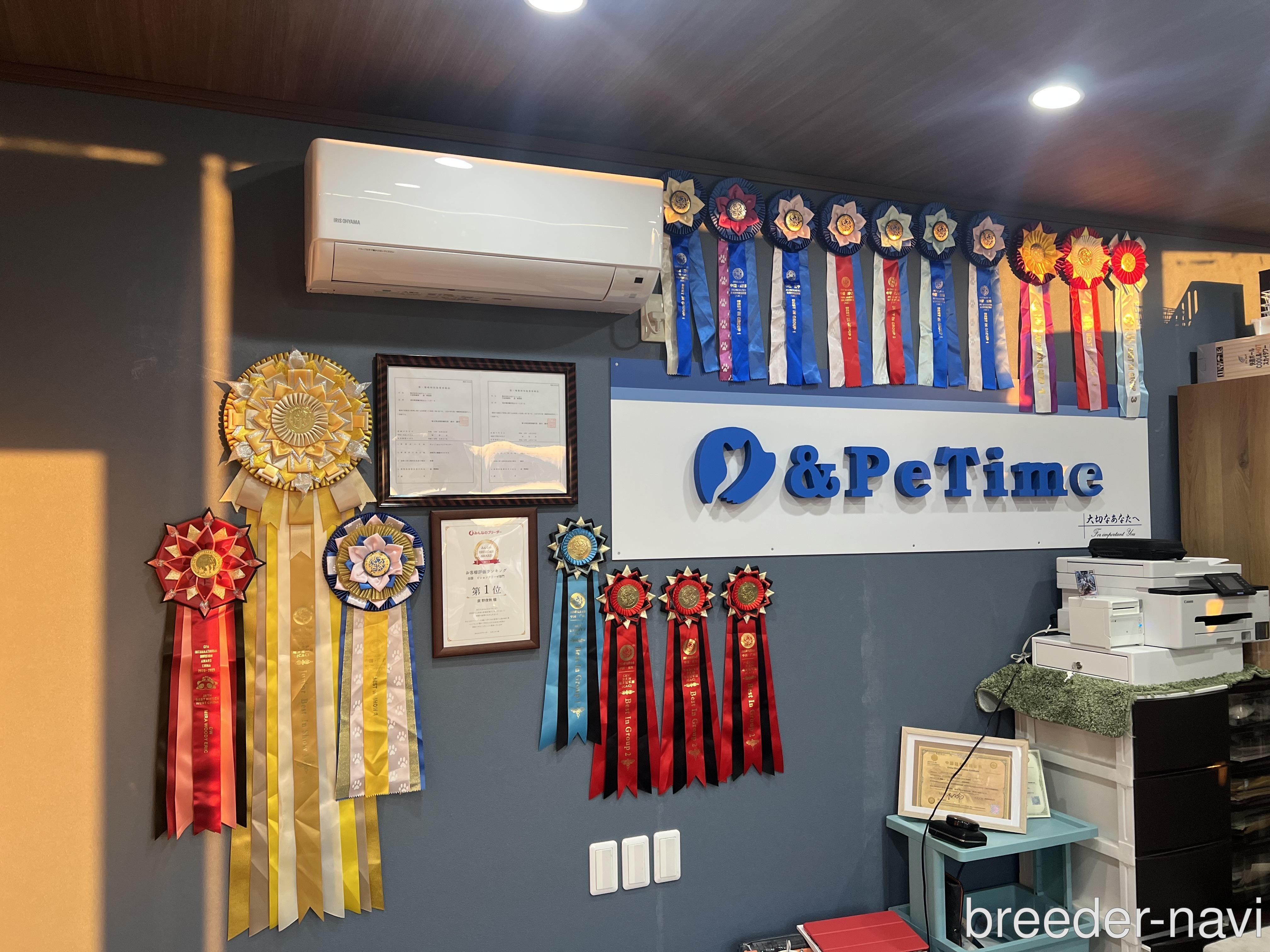 株式会社 D&Petime