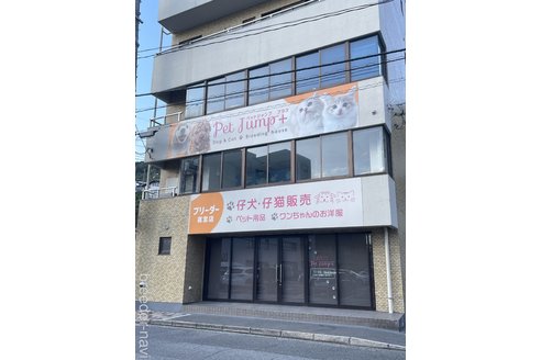 中森直子ブリーダーの詳細