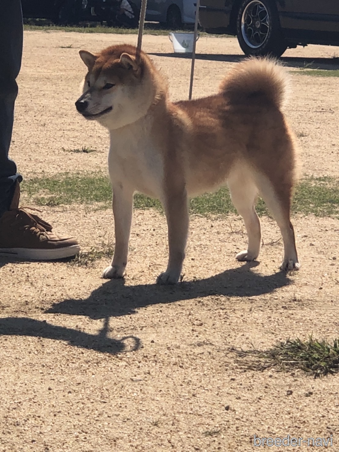 堀江ブリーダー