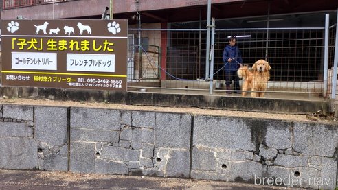 稲村悠介ブリーダーの詳細