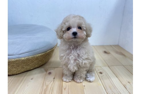 奈須忠孝ブリーダーの詳細