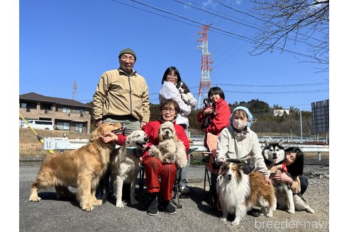 平子盛雄ブリーダーの詳細の1枚目