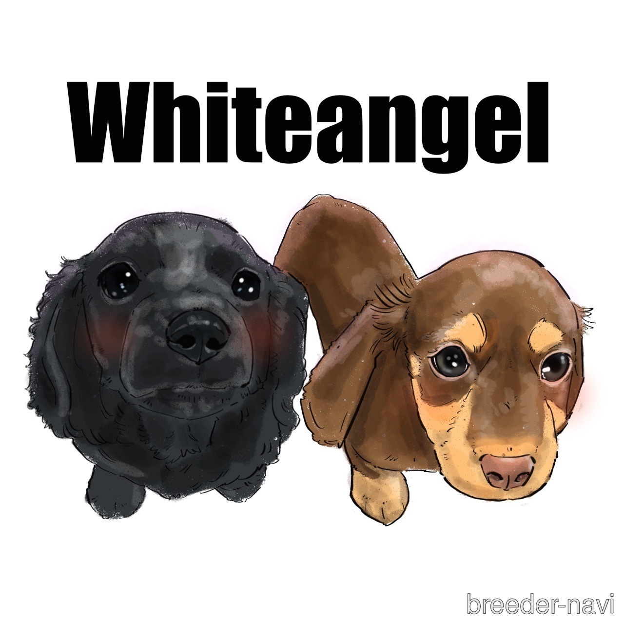 磯川ブリーダー