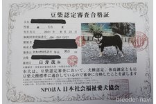 父親犬