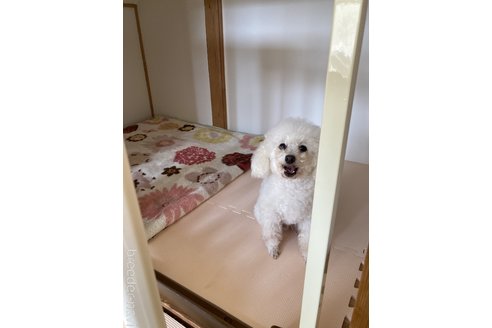 生城義文ブリーダーの詳細