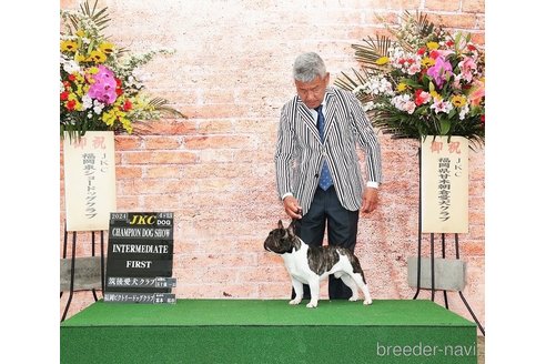 田中実ブリーダーの詳細