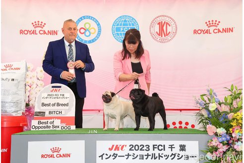 菊池直美ブリーダーの詳細