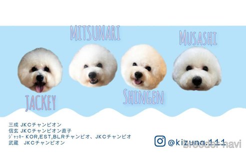 吉村凪音子ブリーダーの詳細