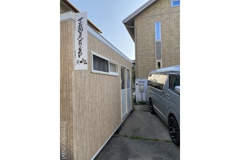 舛田泰久ブリーダーの詳細