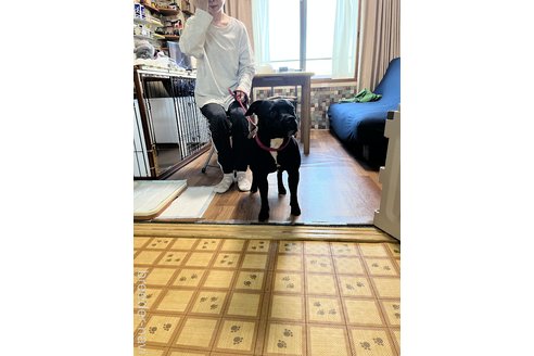 林秀世ブリーダーの詳細
