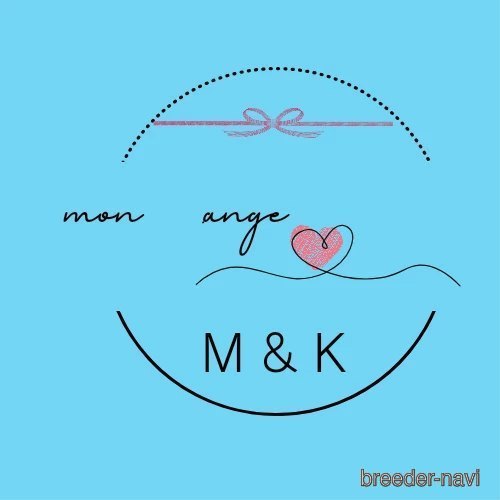 福島ブリーダー