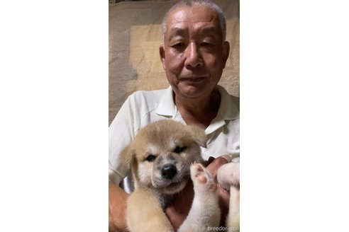 渡辺重雄ブリーダーの詳細の1枚目