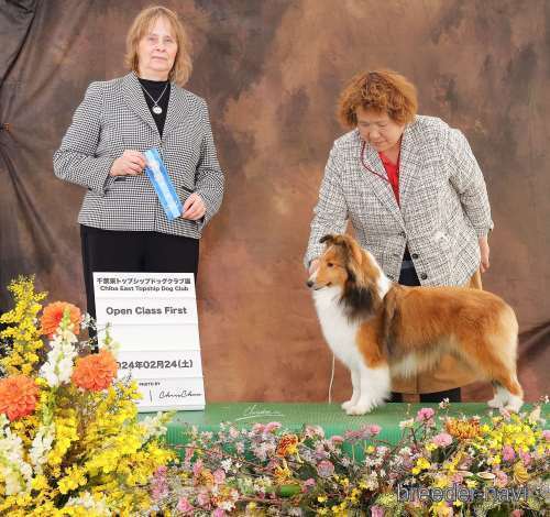 大塚ブリーダー