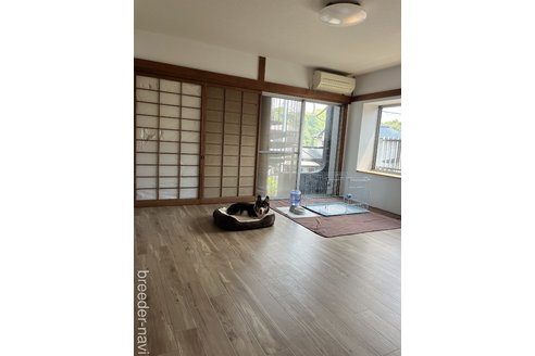 瀬田雄祐ブリーダーの詳細