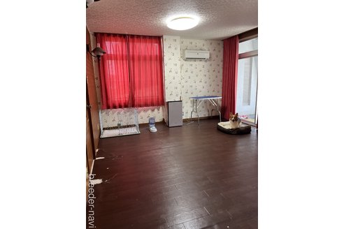瀬田雄祐ブリーダーの詳細
