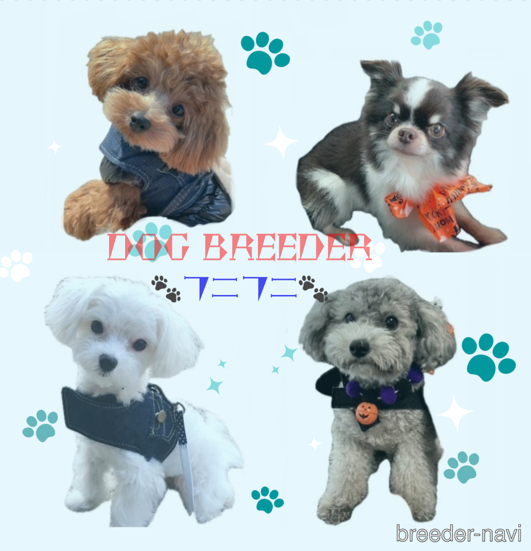 川﨑ブリーダー