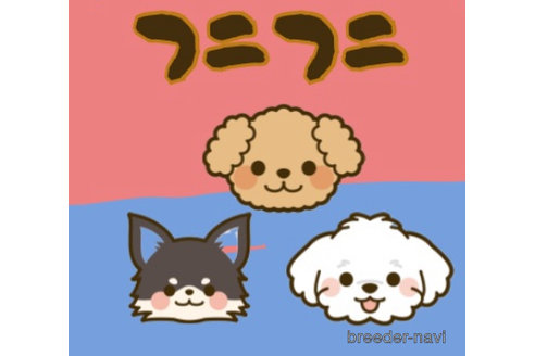 川﨑明久ブリーダーの詳細