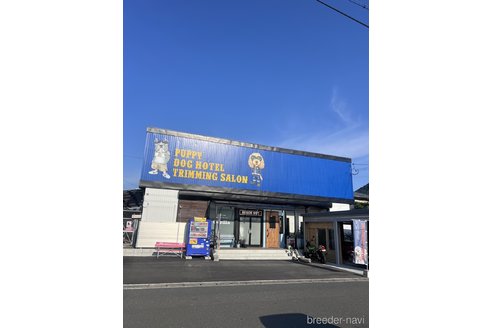 金子圭美ブリーダーの詳細