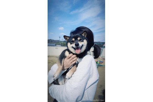 松室明香ブリーダーの詳細の1枚目