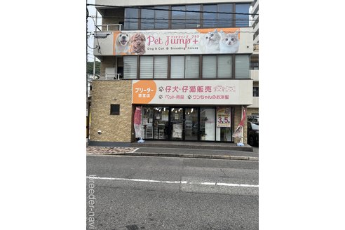 中森 作ブリーダーの詳細