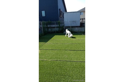 髙橋智恵子ブリーダーの詳細