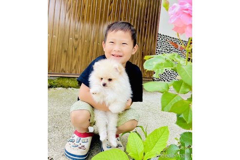 古月宏ブリーダーの詳細の1枚目