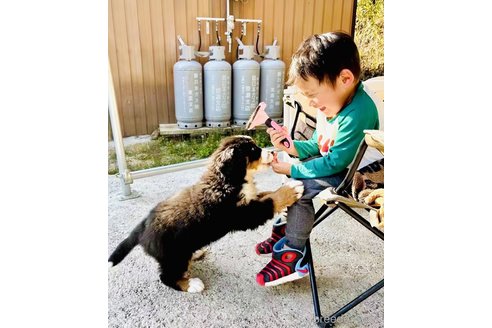 古月宏ブリーダーの詳細