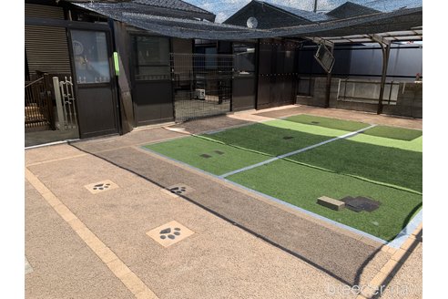 東内祥子ブリーダーの詳細