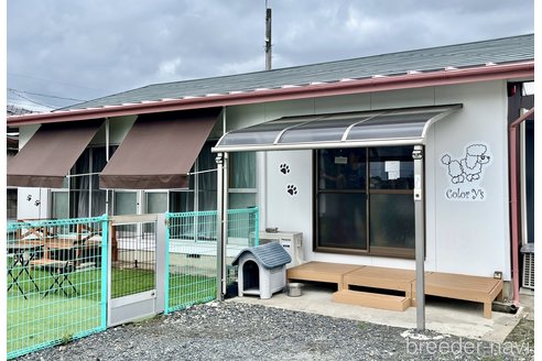 小池由佳理ブリーダーの詳細