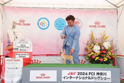 脇崎綾ブリーダーの詳細