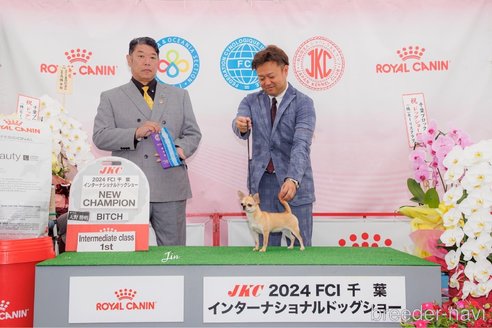 脇崎綾ブリーダーの詳細
