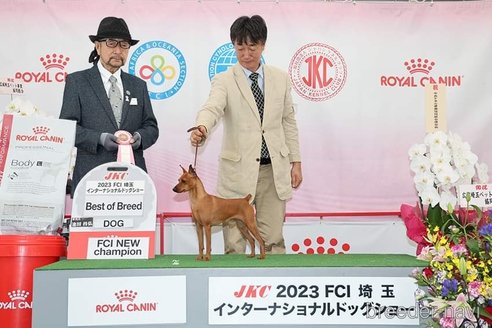 堀内（大隅）完悦ブリーダーの詳細の1枚目