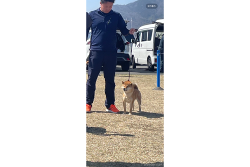 早川隆一ブリーダーの詳細の1枚目