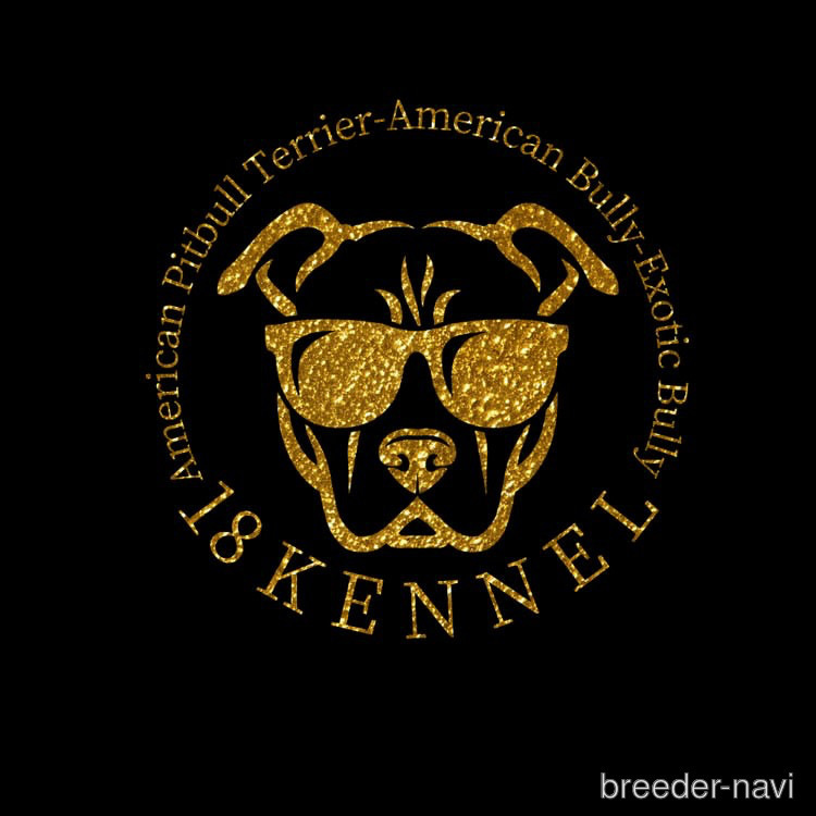 清水ブリーダー