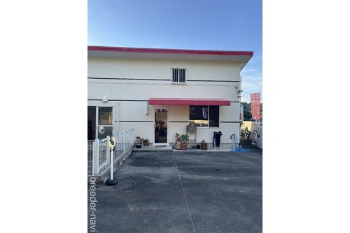鈴木貴生ブリーダーの詳細