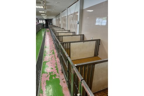 趙春華ブリーダーの詳細