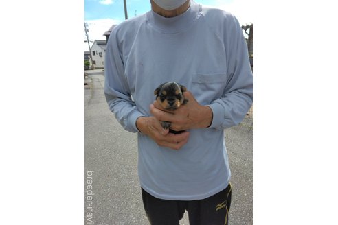 竹野勲夫ブリーダーの詳細の1枚目