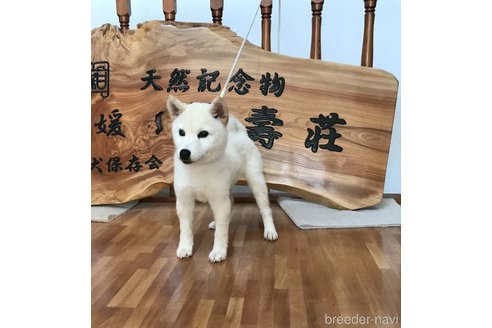 寿崎輝行ブリーダーの詳細