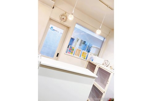 稲岡順子ブリーダーの詳細