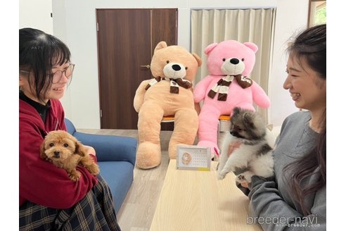 佐藤大斗ブリーダーの詳細