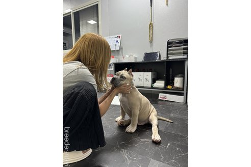 矢野光輝ブリーダーの詳細