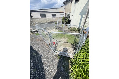竹本麻里子ブリーダーの詳細