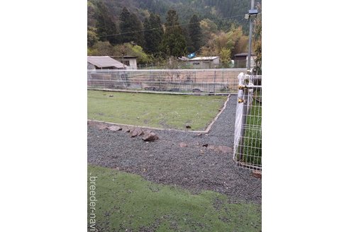 宮崎点ブリーダーの詳細