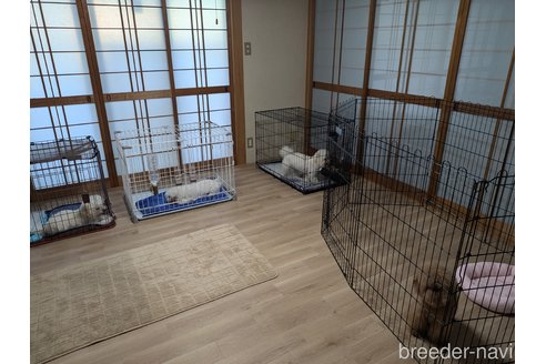 中山かおりブリーダーの詳細